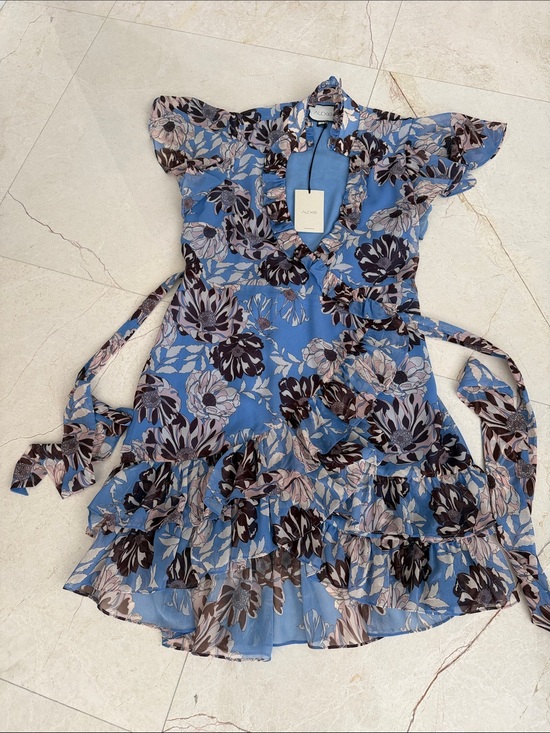 Alexis Dresses & Skirts - Alexis Sky Blue Floral Ruffle Blouse